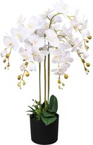 Kunst Orchidee - Stof & Kunststof - Wit - Met Pot - 75 cm