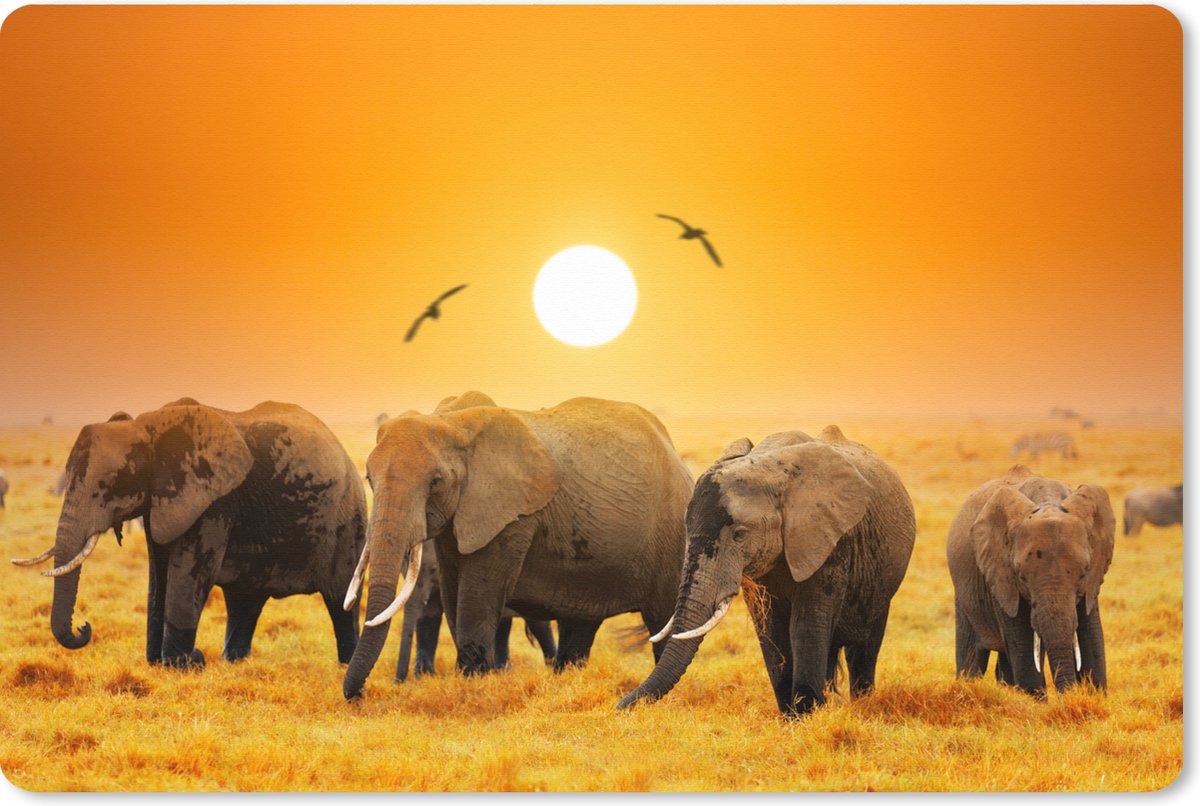 Muismat XXL 90x60 cm - Bureau onderlegger - Bureau mat Olifant - Vogel - Oranje - Bureaumat - Gaming mousepad xl - Bureaulegger groot - Computer deskmat