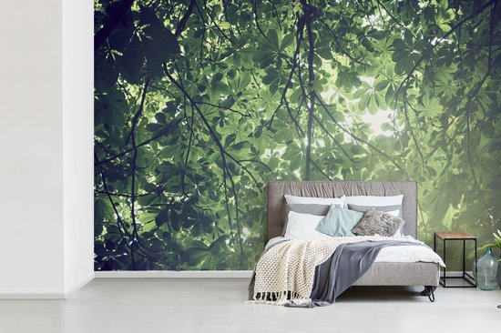 Papier peint Papier peint photo en vinyle - Branches au soleil largeur 360 cm x hauteur 240 cm - Tirage photo sur papier peint (disponible en 7 tailles)