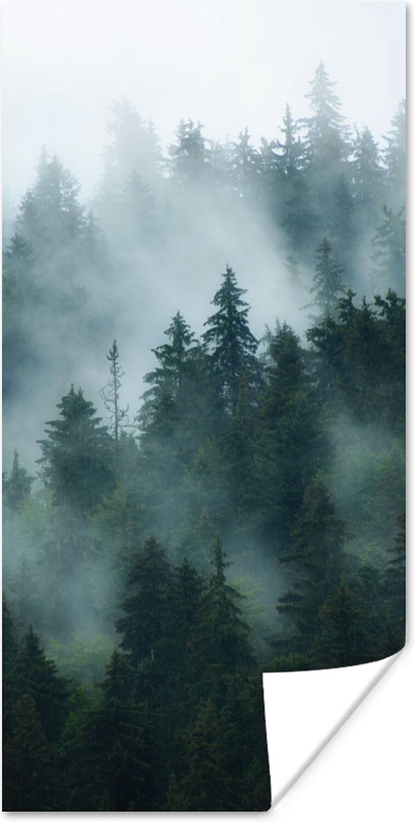 Poster Mist - Bomen - Bos - 75x150 cm
