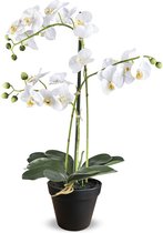 HTT Decorations IT - Orchidée artificielle / Phalaenopsis 3 branches blanc H63cm