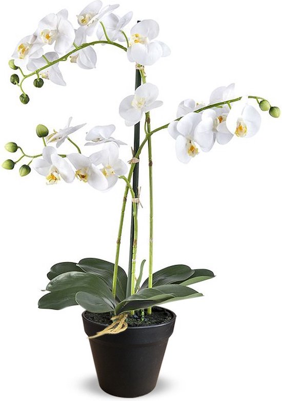 Kunstplant Orchidee / Phalaenopsis 3-tak wit H63cm - HTT Decorations