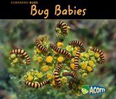 Comparing Bugs - Bug Babies