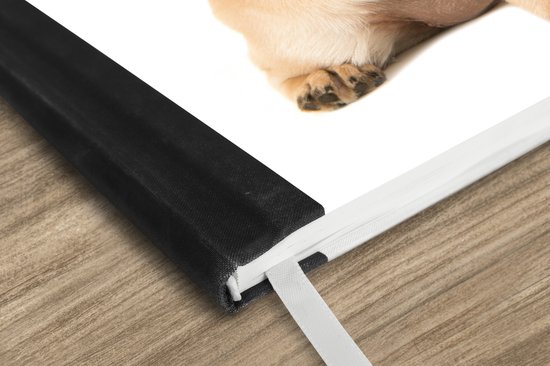 Carnet - Carnet d'écriture - Chien - Animaux - Chewing-gum - Enfants - Garçons - Filles - Carnet - Format A5 - Bloc-notes