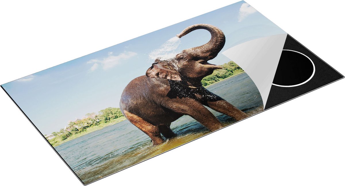 Chefcare Inductie Beschermer Vrolijke Olifant in het Water - 95x50 cm - Afdekplaat Inductie - Kookplaat Beschermer - Inductie Mat