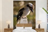 Papier peint - Papier peint photo - A kookaburra assis sur une balustrade - Largeur 225 cm x hauteur 350 cm