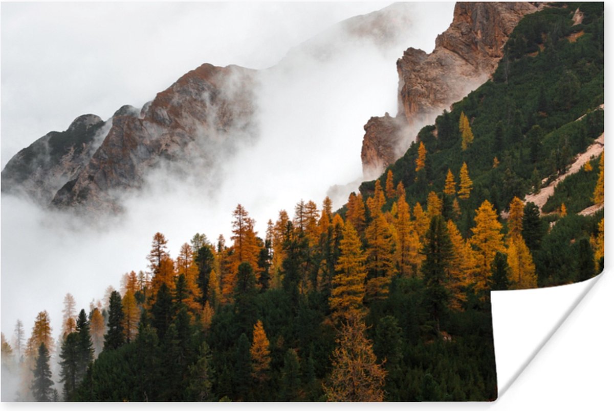 Poster Berg - Mist - Bos - 30x20 cm