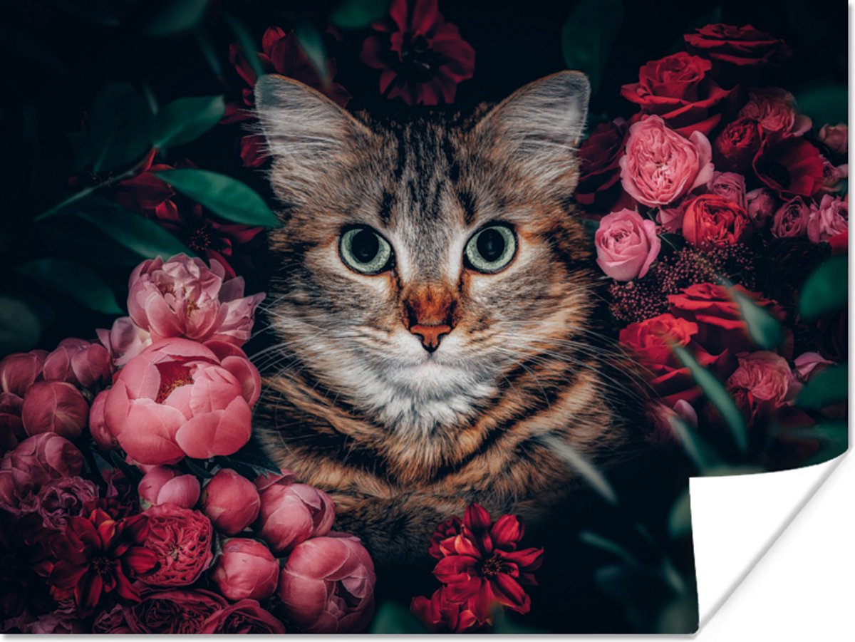 Poster Kat - Bloemen - Dieren - Botanisch - 80x60 cm