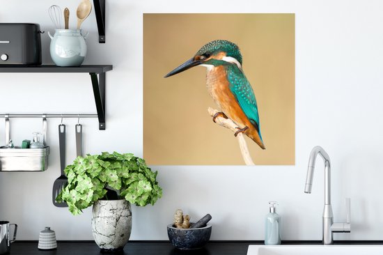 Affiche Martin-pêcheur - Animaux - Vogel - 50x50 cm