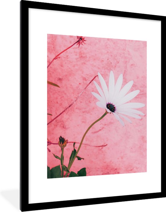 Cadre photo avec affiche - Fleurs - Rose - Vintage - 60x80 cm - Cadre pour affiche