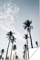 Affiche Palmiers - Été - Tropical - 40x60 cm