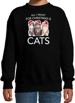 Kitten Kerstsweater / Kerst trui All I want for Christmas is cats zwart voor kinderen - Kerstkleding / Christmas outfit 110/116