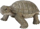 Levensechte schildpad 14 cm