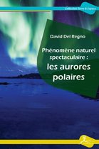 Phénomène naturel spectaculaire : les aurores polaires