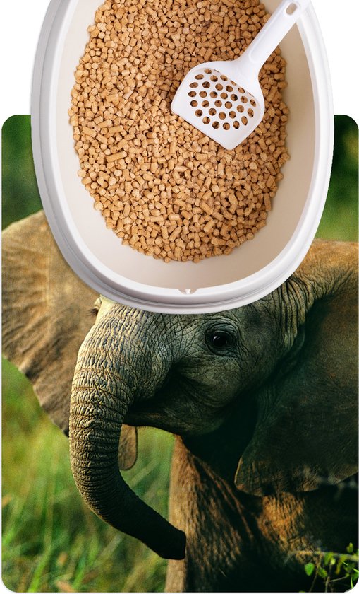Kattenbakmat Placemat kat Kattenbak mat Afrikaanse olifant met