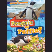 Livre audio numérique