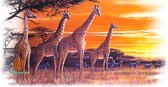 Mok Sundown Giraffes 440 ml