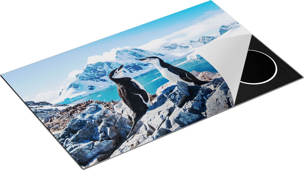 Chefcare Inductie Beschermer Twee Pinguïns op Stenen in Antarctica - 85x55 cm - Afdekplaat Inductie - Kookplaat Beschermer - Inductie Mat