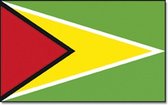 Vlag Guyana 90 x 150