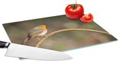 Glazen Snijplank - 28x20 - Roodborstje - Vogel - Natuur - Snijplanken Glas