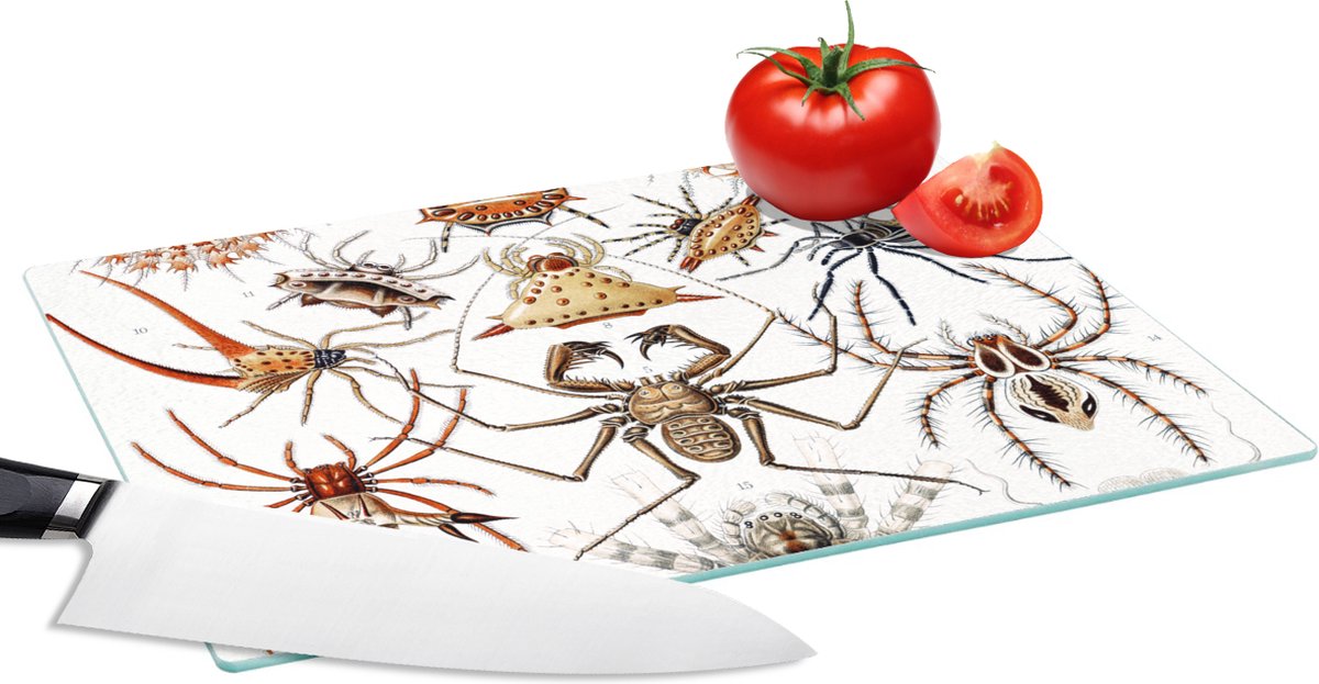 Glazen Snijplank - 28x20 - Retro - Spin - Ernst Haeckel - Spinnen - Snijplanken Glas