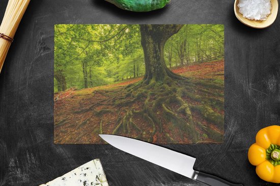 Planche à découper en Verres - 28x20 - Arbre - Forêt - Feuilles d'automne - Planches à découper en Glas