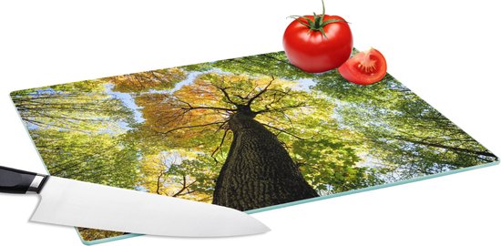 Planche à découper en Verres - 39x28 - Arbre - Nature - Forêt - Planches à découper en Glas