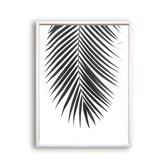 Poster Tropisch palmboom blad midden - Zwart / Wit / Zwart / Wit / 30x21cm