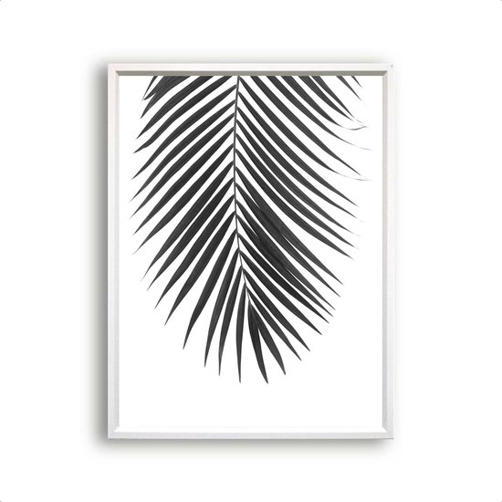 Poster Tropisch palmboom blad midden - Zwart / Wit
