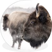 Bisons dans la neige Assiette en plastique cercle mural ⌀ 120 cm - impression photo sur cercle mural / cercle vivant (décoration murale) XXL / Groot format!
