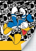 Donald Duck Schriften ruitjes - A4 - Set van 2 stuks