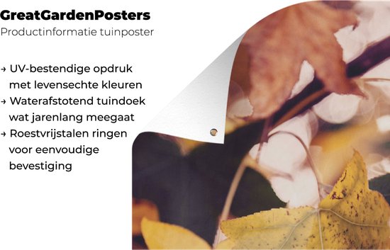Affiche de jardin - Automne - Feuilles - Esdoorn - Oranje - 60x90 cm - Tableau de jardin - Décoration de jardin