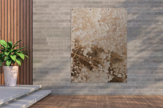 Affiche de jardin - Pampa - Herbe de la pampa plante de jardin - Plantes - Nature - Rose - 120x160 cm - Affiche de jardin fleurs - Jardin - Décoration murale - Décoration murale - Toile de jardin