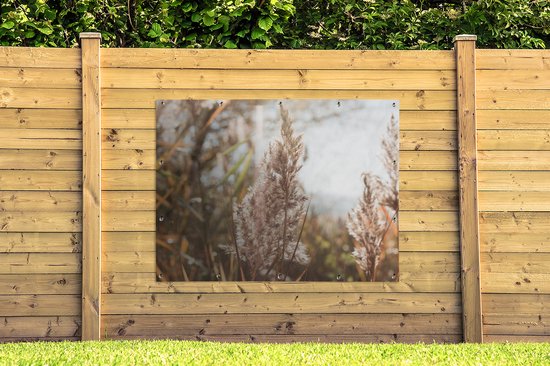 Affiche de jardin - Pampa - Herbe de la pampa plante de jardin - Plante - Nature - Rose - 160x120 cm - Affiche de clôture - Jardin - Décoration murale - Décoration de Décoration de jardin - Toile de jardin