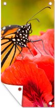 Tuinposter - Bloemen - Roze - Vlinders - Flora - Tuinschilderij - 80x160 cm - Tuindoek