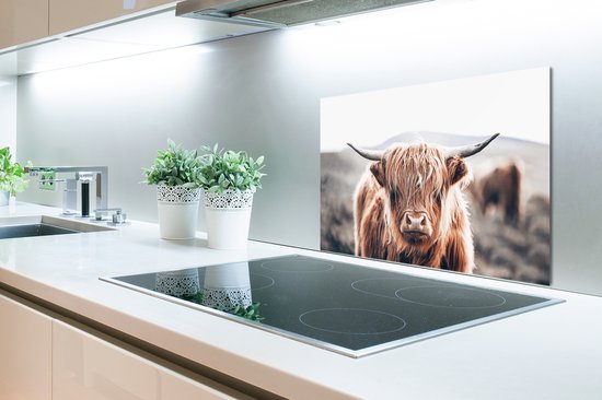Spatscherm - Schotse Hooglander - Dieren - Koe - Natuur - Spatwand - Muurbeschermer - Achterwand keuken - Keuken - 60x40 cm - Spatscherm keuken