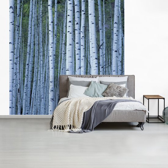 Papier peint photo peint photo vinyle - Witte' arbres blancs largeur 300 cm x hauteur 300 cm - Tirage photo sur papier peint (disponible en 7 tailles)