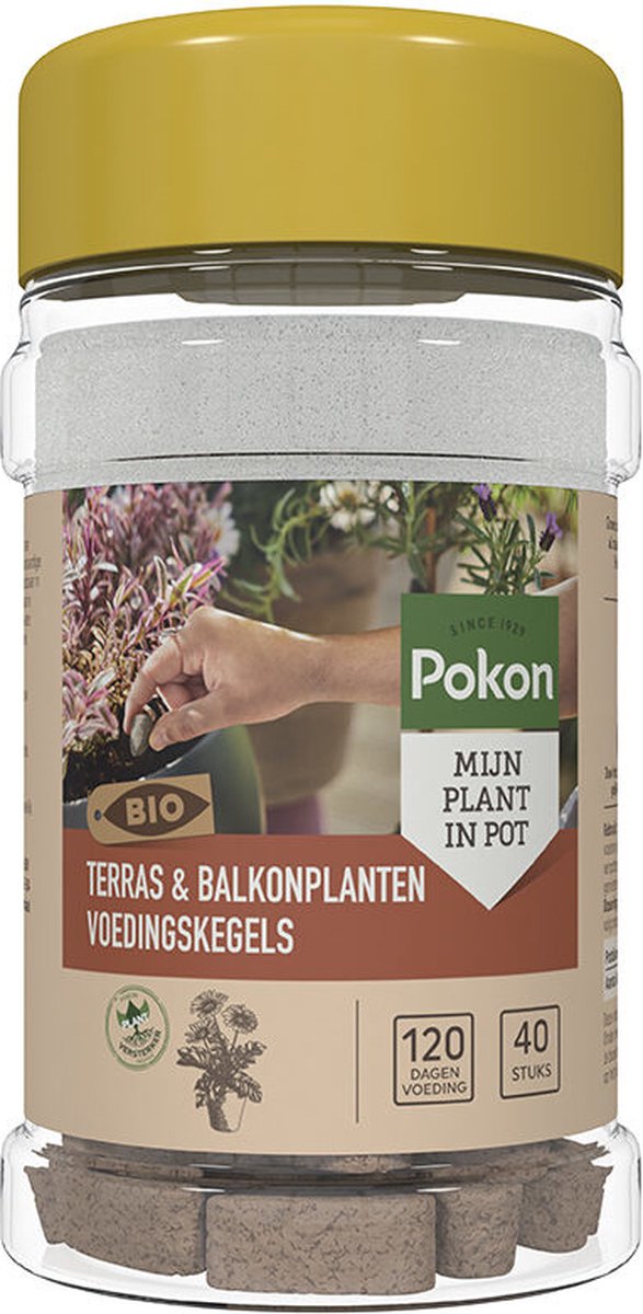Pokon Bio Voedingskegels voor Terras- & Balkonplanten - 40 stuks - 120 dagen voeding - Biologische Plantenvoeding