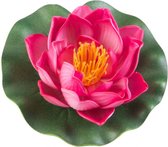 waterlelie Lotus 10 cm foam fuchsia/groen