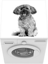 Wasmachine beschermer mat - Zittende Shih Tzu hond voor een witte achtergrond - zwart wit - Breedte 60 cm x hoogte 60 cm