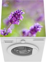 Wasmachine beschermer mat - Close-up van lavendel onscherpe achtergrond - Breedte 60 cm x hoogte 60 cm