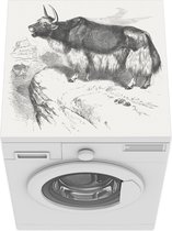 Wasmachine beschermer mat - Antieke illustratie van een jak in het zwart-wit - Breedte 60 cm x hoogte 60 cm