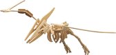 Houten dieren 3D puzzel pteranodon dinosaurus - Speelgoed bouwpakket 23 x 18,5 x 0,3 cm.