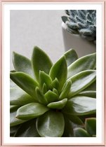 Poster Met Metaal Rose Lijst - Groene Cactus Poster