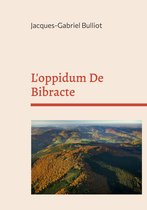 L'oppidum De Bibracte