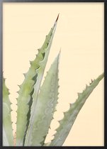 Poster Met Zwarte Lijst - Abstracte Cactus Poster