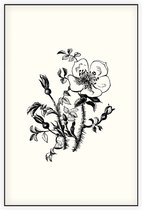 Duinroos zwart-wit (Burnet-Leaved Rose) - Foto op Akoestisch paneel - 100 x 150 cm