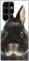 Geschikt voor Samsung Galaxy S22 Ultra hoesje - Konijn - Huisdieren - Vacht - Siliconen Telefoonhoesje