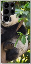 Geschikt voor Samsung Galaxy S22 Ultra hoesje - Panda - Dier - Boom - Siliconen Telefoonhoesje
