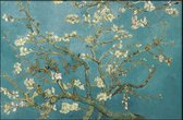 Walljar - Vincent van Gogh - Amandelbloesem II - Muurdecoratie - Poster